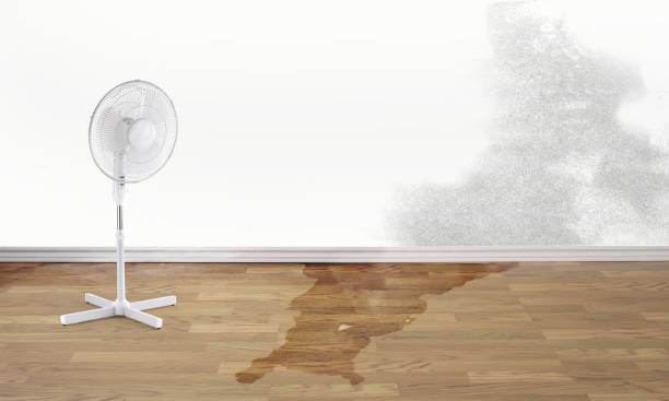 Best Residential water damage restoration  in Craig, CO